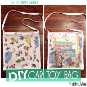DIY Car Toy Bag