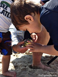 Preserving Peace while on Vacation
