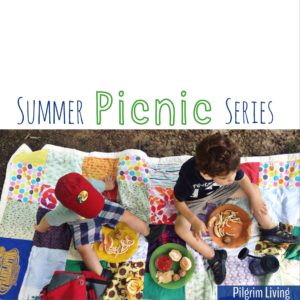 summer picnic series