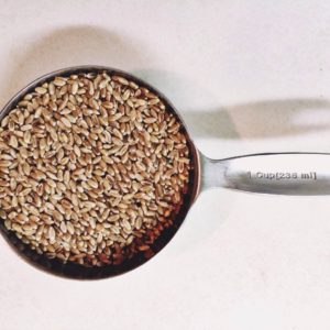 grinding grain in the Vitamix