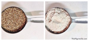 Grinding Grain in the Vitamix