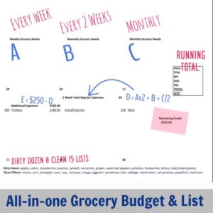 All-in-one grocery budget and list