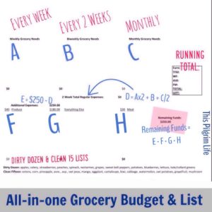 All-in-one Grocery Budget and List