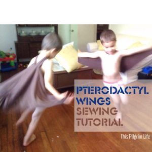 Pterodactyl Wings Tutorial