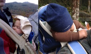 A Week In the Woods: Camping with Littles