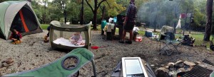 A Week In the Woods