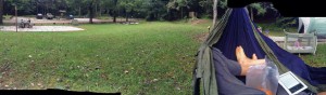 A Week In the Woods