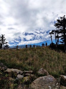 Mt. Mitchell