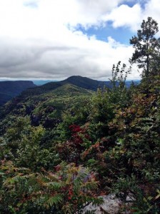 A Week In the Woods