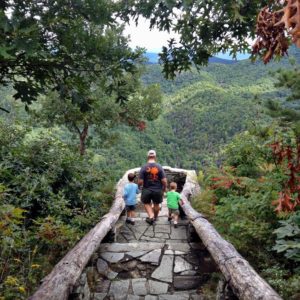 A Week In the Woods