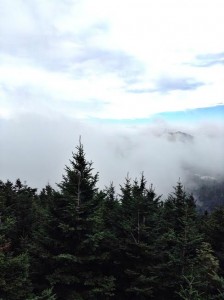 Mt. Mitchell