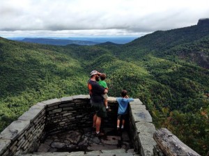 A Week In the Woods