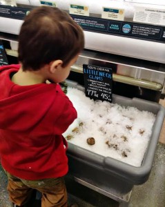 Shopping for clams
