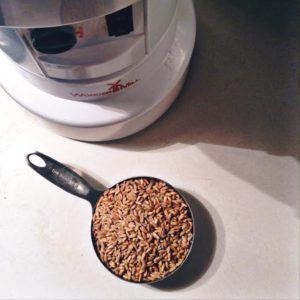 Spelt Berries & Wondermill