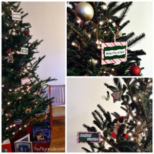 Remembering the True Advent Season