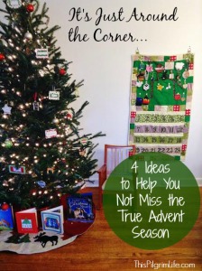 4 Ideas to Help You Not Miss the True Advent Season