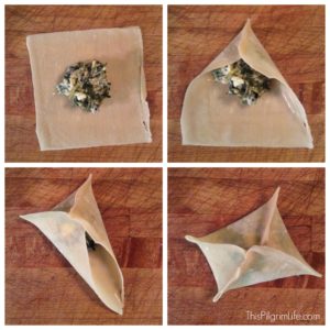Collard Green Wontons