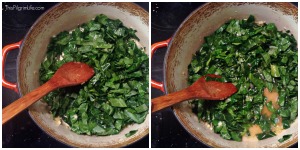 Collard Green Wontons