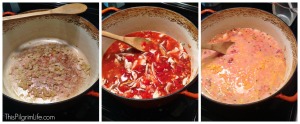Cheesy Chicken & Salsa Soup