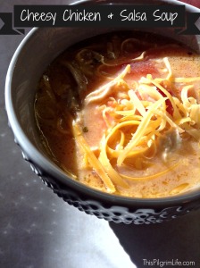 Cheesy Chicken & Salsa Soup
