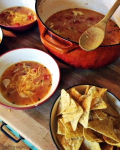 Cheesy Chicken and Salsa Soup