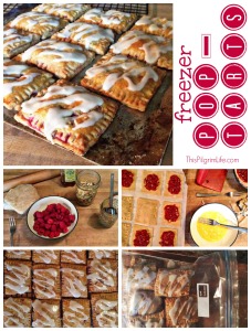 Freezer Pop-Tarts