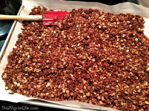 {Healthy!} Chocolate Cereal