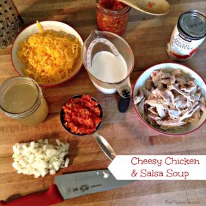 Cheesy Chicken and Salsa Soup