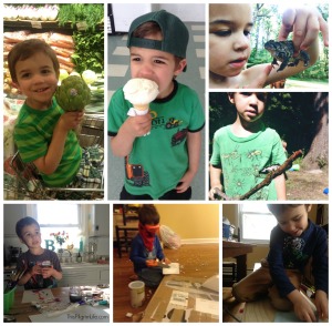 A Year In Review, 2014