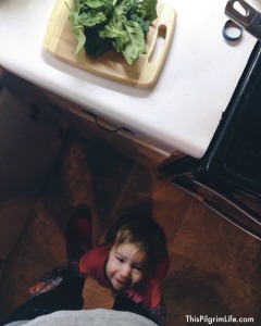 Kitchen Prep Day