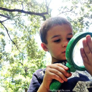 Weaving Learning into Everyday Life