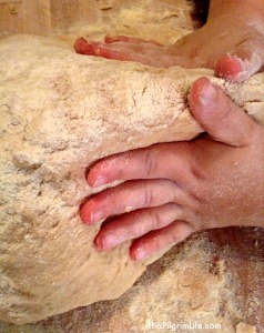 Bread Baking- Tips, tricks, and links to get you started