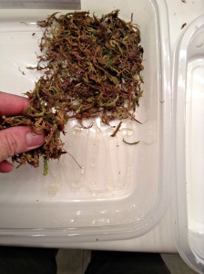 DIY Road Trip Farm Box