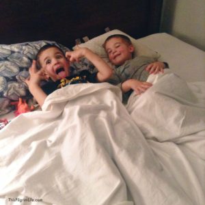 Travel Advice for Road Trips