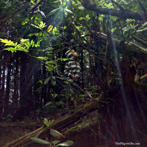 Kids in the Outdoors: Addressing Fears & Safety