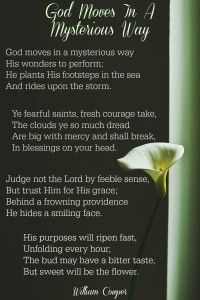God Moves In A Mysterious Way-- The Life of Our Son, James Henry