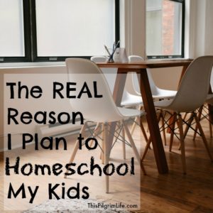 The REAL reason I plan to homeschool my kids.