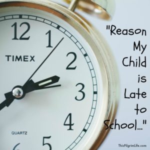 The REAL reason I plan to homeschool my kids. It's not what you think.