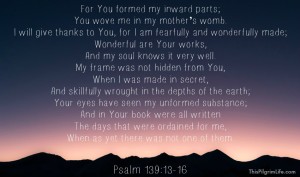 God Moves In A Mysterious Way-- The Life of Our Son, James Henry