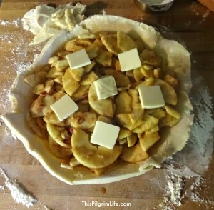 Often the best things are simple and classic. This apple pie has been perfected from much practice and is the BEST APPLE PIE EVER!