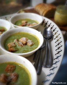 not just a soup with a dash of broccoli to go along with the heaps of milk and cheese. The broccoli is the star, and the green is boosted by the addition of