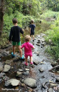 We homeschool our kids, but it's not because we want to avoid Common Core. Nope. We have much better reasons than that.