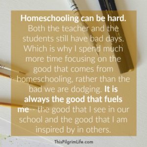 We homeschool our kids, but it's not because we want to avoid Common Core. Nope. We have much better reasons than that.