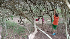 Camping at the beach can be an awesome way to save money and experience more of the natural parts of the beach! This is part 1 of how we took four kids camping for five days at the beach for a fraction of the cost of a typical beach vacation!