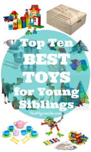 Check out this list of the top ten best toys for young children to play with-- from babies to elementary age!