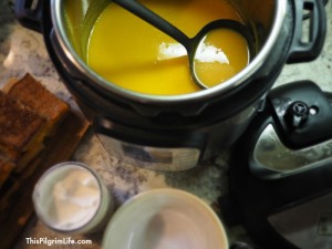 This quick and easy recipe for Instant Pot butternut squash apple soup is sure to become a family favorite. It's healthy, frugal, and so delicious!