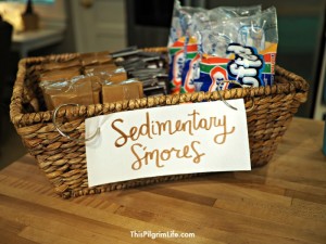 How to throw an awesome geology rock birthday party for kids!