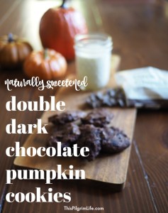 These double dark chocolate pumpkin cookies are a healthy, naturally sweetened snack cookie! Even better, they are packed with nutritious ingredients!