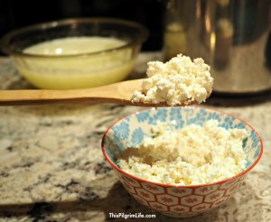 Homemade ricotta cheese is possible in just one hour and with only three ingredients! This recipe is so easy and the ricotta cheese so delicious that you'll never need to buy it again!
