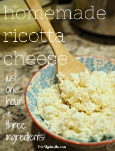 Homemade ricotta cheese is possible in just one hour and with only three ingredients! This recipe is so easy and the ricotta cheese so delicious that you'll never need to buy it again!
